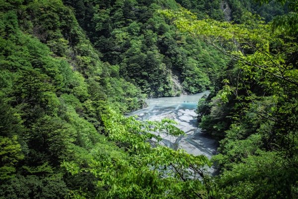 绿源环保公益短剧《地球守护者》 - 南瓜短剧客户案例展示